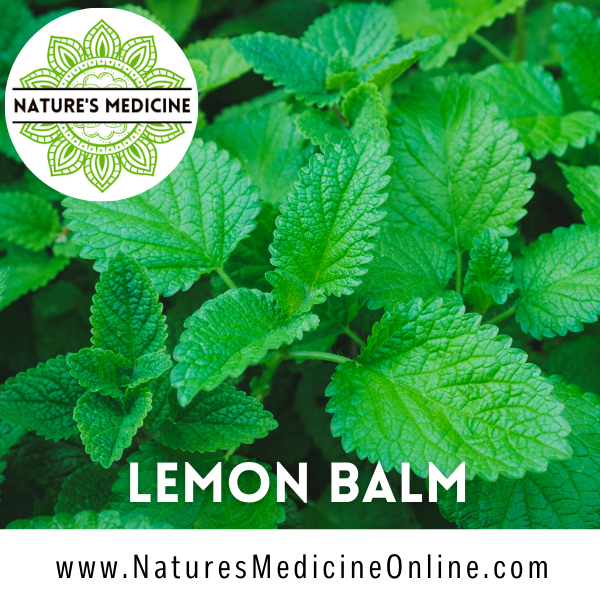 Lemon Balm (Melissa officinalis) Organic Dried Herbs