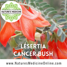 Load image into Gallery viewer, Lesertia/Sutherandia/Cancerbush (Lesertia frutescens) 100ml Glycerite Tincture
