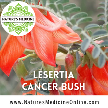 Load image into Gallery viewer, Lesertia/Sutherandia/Cancerbush (Lesertia frutescens) 30ml Glycerite Tincture
