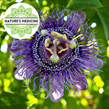 Load image into Gallery viewer, Passion Flower (Passiflora incarnata) 30ml Tincture
